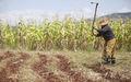 UN food agency reports record cereal crop as Ebola, conflict threaten food security