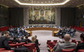 Security Council extends mandate of UN Liberia mission
