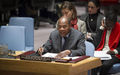 Un responsable de l'ONU met en garde le Conseil sur la situation politique fragile en Afrique de l'Ouest